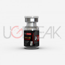 TESTO C 250 Para Pharma US DOM EXPRESS
